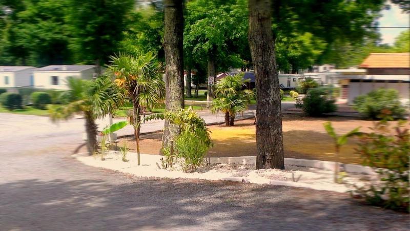 Camping Royal Ocean Hotel Saint-Sulpice-de-Royan Esterno foto